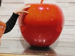 -上海虹桥西郊假日酒店