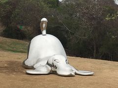 -漳州滨海火山岛自然生态风景区