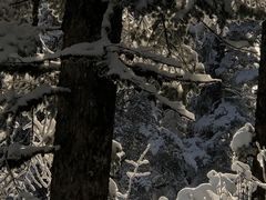 -瓦屋山景区
