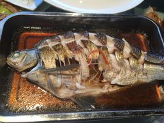 -楚灶王(徐东店)