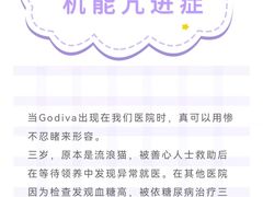 -瑞派申生动物医院·24H夜诊·国际动物医疗中心·骨外科(吴中路店)