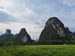 -明仕田园