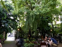 -Fern Forest Cafe
