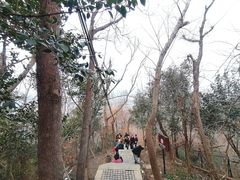 -紫金山山顶公园