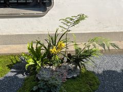 -杭州植物园