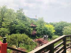 -大连植物园