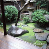 一定要在院子里种一棵枫树，庭院里的枫树每至晚秋