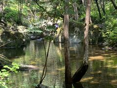 -牛背梁国家森林公园