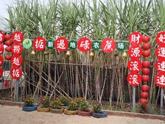 -新地休闲农场