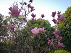-二沙岛艺术公园