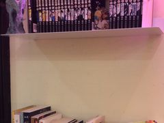 -滚猫咖啡·猫咖·猫友好撸猫(未来城店)
