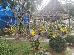-东莞植物园