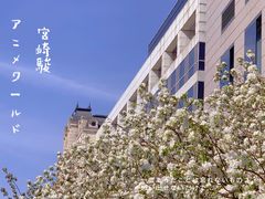 -北京丽晶酒店
