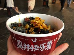 -黑色经典臭豆腐·湖南特产(坡子街店)