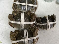 -阳澄湖大闸蟹·琼灵阁牌品牌连锁(吴中总店)