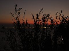 -深圳湾公园(南山区)