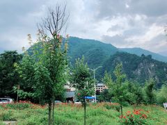 -卧龙自然保护区
