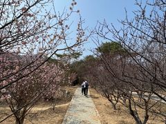 -北京鹫峰国家森林公园