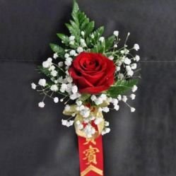 -巴黎新娘婚纱摄影·婚礼策划(嘉定总店)