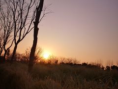 -上海山野camping·户外天幕烧烤·团建拓展营地