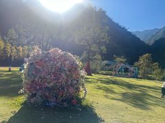 -龙湾潭国家森林公园