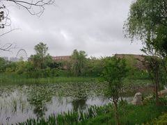 -洋湖国家湿地公园