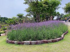 -广州莲花山旅游区