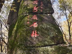 -汤旺河林海奇石景区