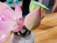 -知物癖(牛王庙店)