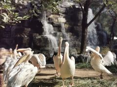 -北京野生动物园