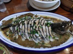 -呼吸森林·生态农庄农家乐私房菜