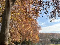 -河南省黄河迎宾馆