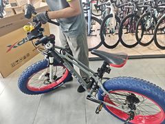 -xds喜德盛自行车(滴水湖店)