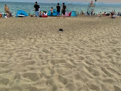 -玫瑰海岸文化旅游度假区