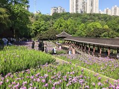-龙头寺公园