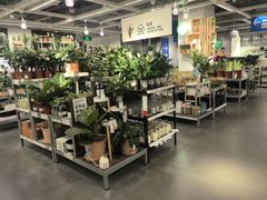 -宜家家居(哈尔滨商场店)