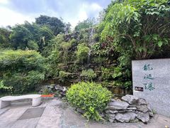 -广州神农草堂中医药博物馆