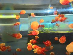 -常州海昌海洋探索馆