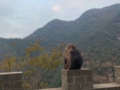 -九华山风景区月身宝殿