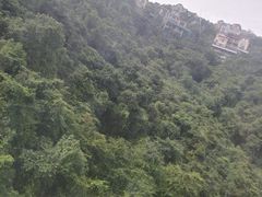 -纳鲁孜·新疆特色餐厅(上海悦荟广场店)