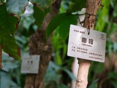 -北京植物园-展览温室
