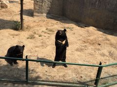 -石家庄市动物园