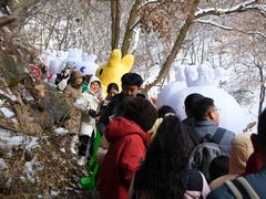 -少华山国家森林公园