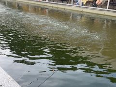 -DGE季风钓虾营地·团建·聚会