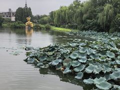 -南通濠河风景名胜区