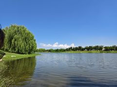 -上海滨江森林公园