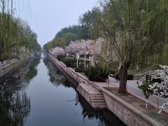 -元大都城垣遗址公园