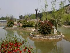 android_upload_pic-鹦鹉寺公园