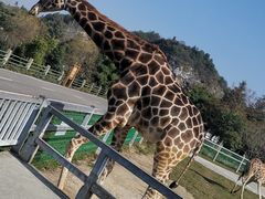 -贵州森林野生动物园
