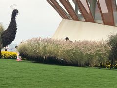 -光明小镇欢乐田园